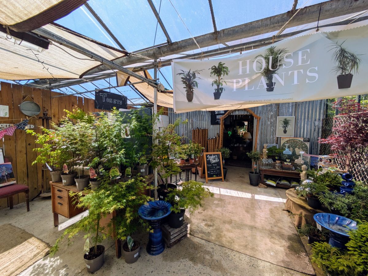 The house plant shed, hanging ferns under the banner