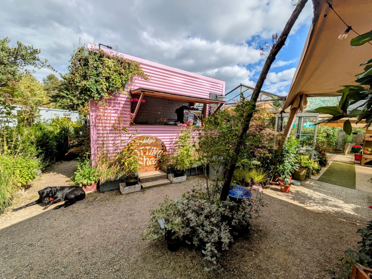 Arriving in the gravel yard at Joly's, the pink Potting Shed ahead