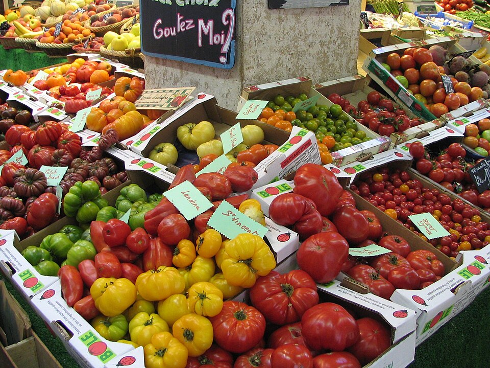 Costoluto Fiorentino