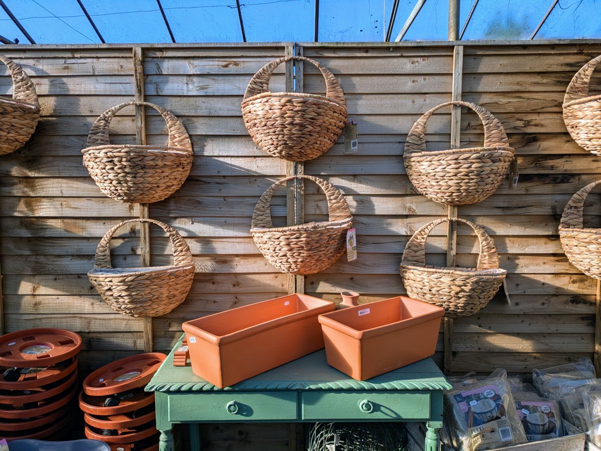 Hanging baskets and terracotta on the yard wall